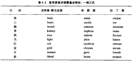 術(shù)語(yǔ)詞源a.jpg