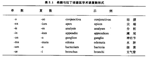 術(shù)語(yǔ)規(guī)則.jpg