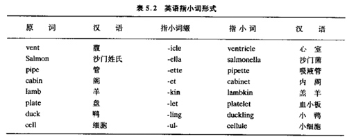 術(shù)語(yǔ)規(guī)則a.jpg