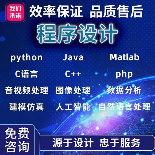 Python Matlab代做 C 優(yōu)化算法 數(shù)據(jù)分析